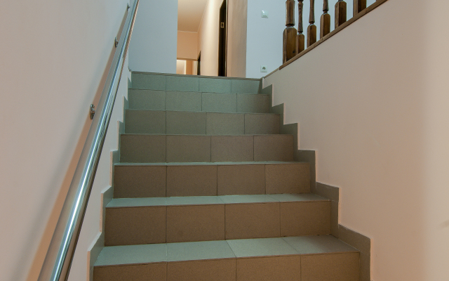 Базилик Чаплыгин