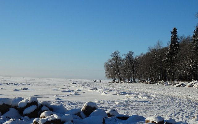 Гостиница Репинская