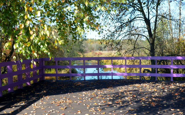 База Отдыха Кава