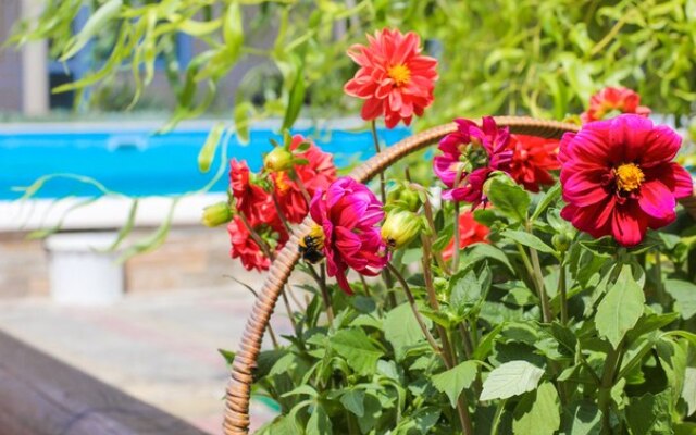 Guest House Voyazh
