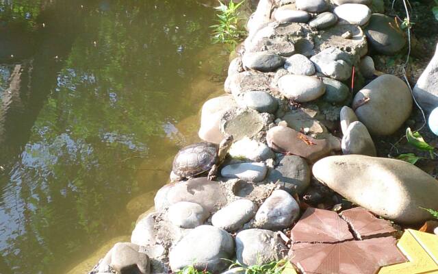 Pani Sofiya Guest House