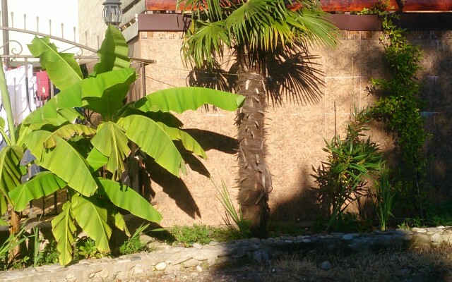 Pani Sofiya Guest House