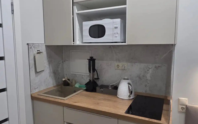 Уютные Апартаменты  в Центре Москвы