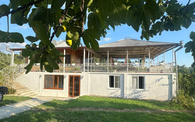 Tsitrus 21 Guest House