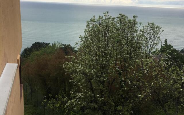 Marina Guest House