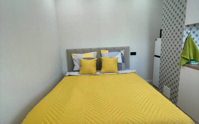 Studiya v Tsentre Flat