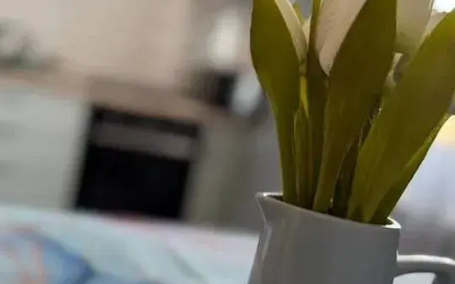 Квартира Уютная на Чудесной 3