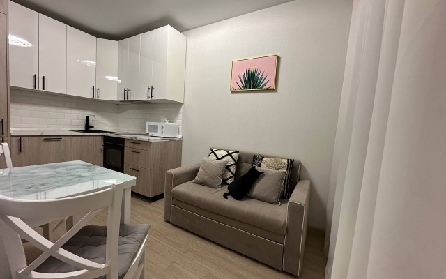 Квартира вблизи Мариинского Театра