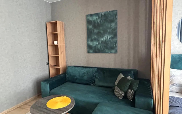 Квартира Цветная студия