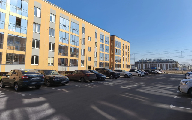 V Petrodvortsovom Rayone Flat