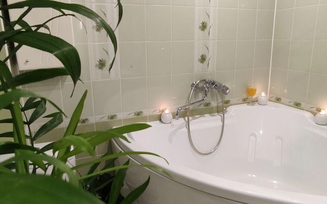 Квартира на улице Александра Невского 71