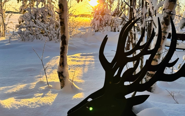 Частный дом MagicHome