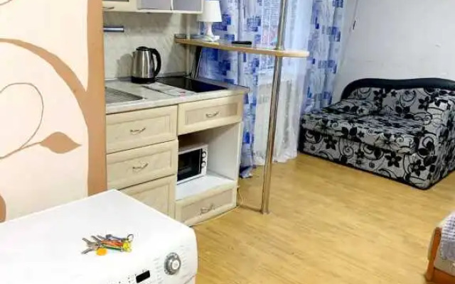 Апартаменты на Карла Маркса 108-1