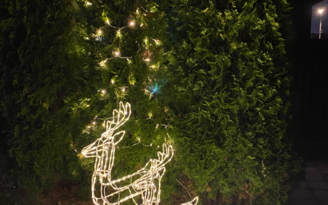 Semeynaya Dacha Villa