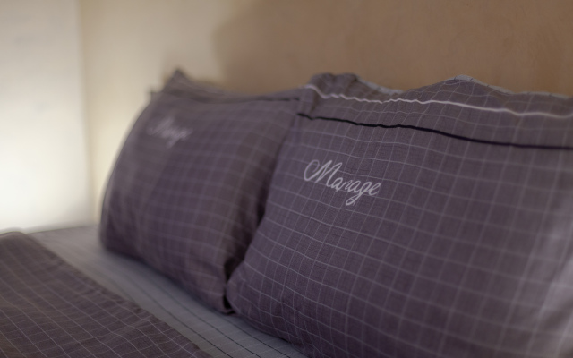 Апартаменты Пушкин Центр города