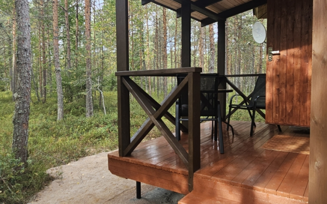 Ilyinka v Karelii Private house