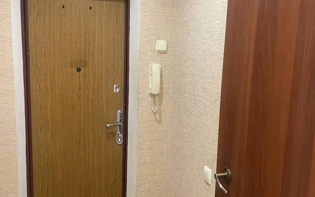 Vozle Ploschadi Pobedy Apartments