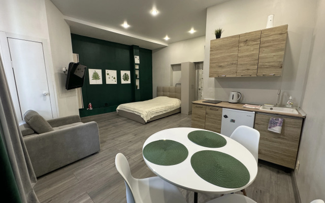 Studiya v tsentre goroda Flat