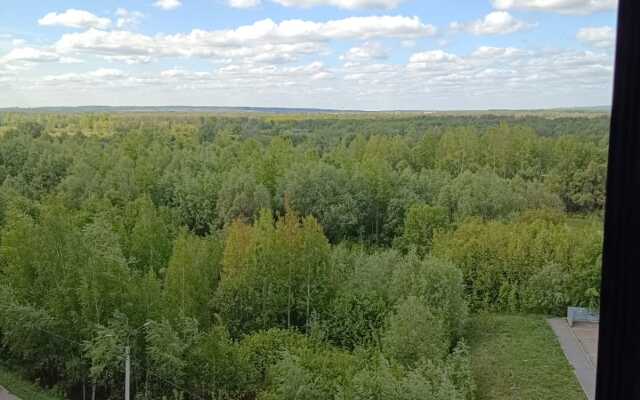 Kvartira V Mikrorayone Shaksha Flat