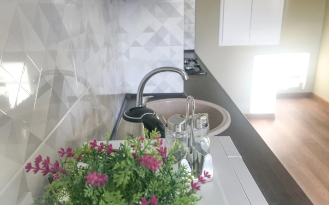 Апартаменты Balt Apartments Pionerskii 20