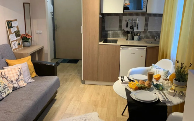 Studiya V Novom Zhilom Komplekse Flat