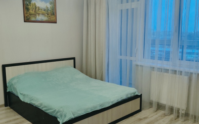 Апартаменты на Баграмяна