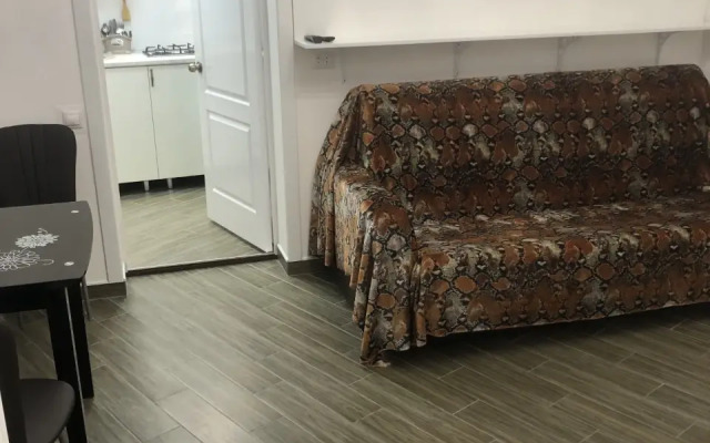 Квартира двухкомнатная в центре города