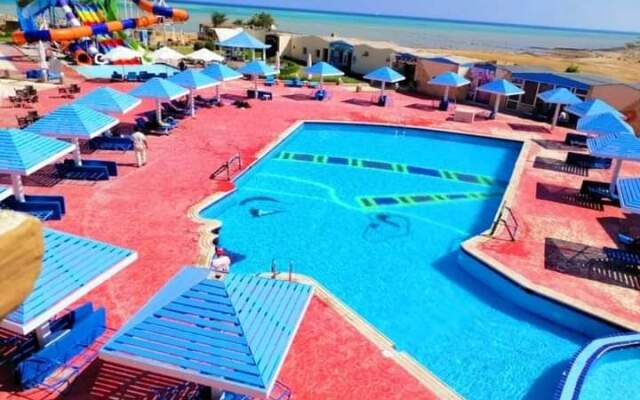 Отель Bella Rose Nefertiti hurghada