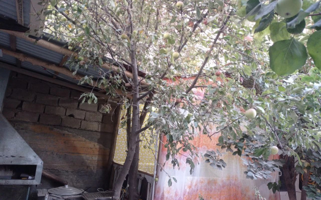 Raxat Guest House