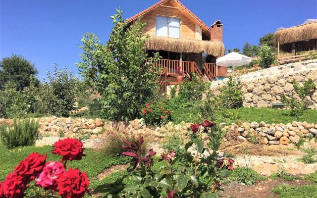 Ceviz Villa