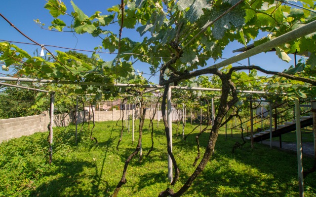 Irakli Guest House