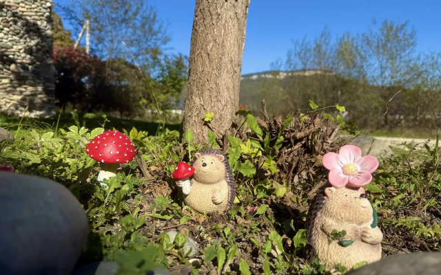 Thach from Travel Hotels Entourage