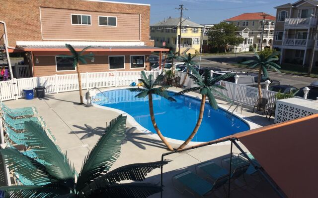 Dolphin Inn