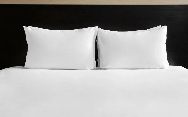 Holiday Inn Plovdiv by IHG