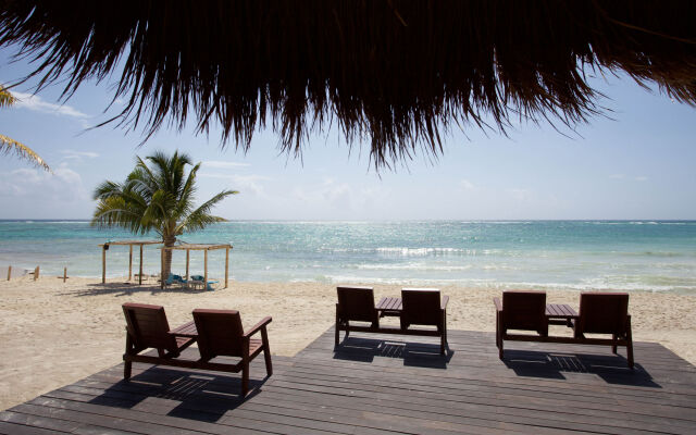 Отель Akumal Bay Beach and Wellness Resort