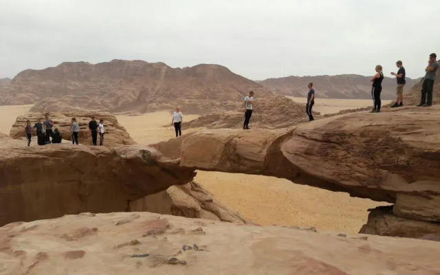 Wild Wadi Rum