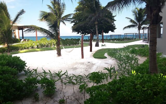 Отель Akumal Bay Beach and Wellness Resort