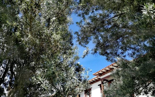 Hotel Gran Sirius