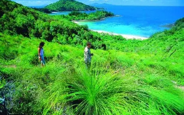 Brampton Island