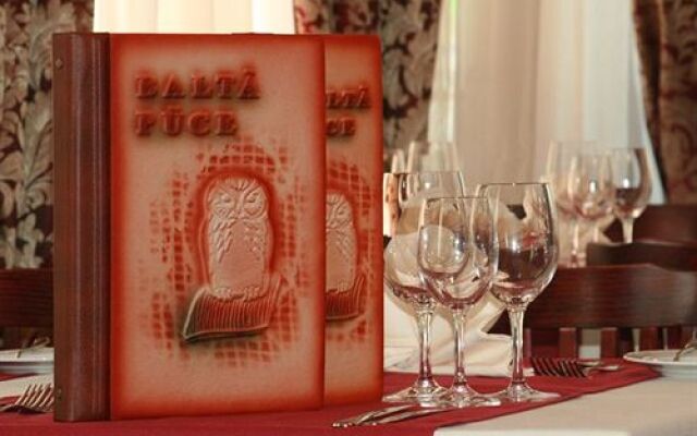 Hotel Balta Puce