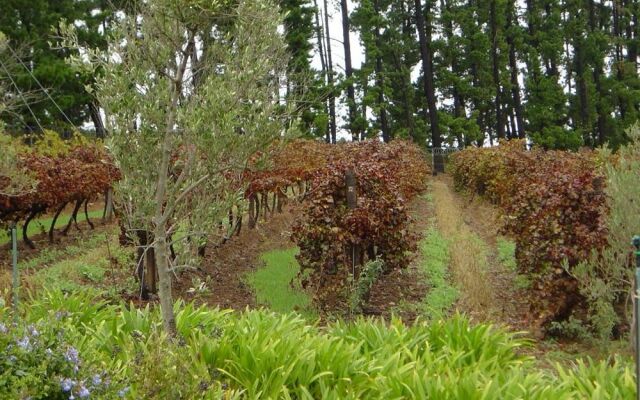 Clovelly Country Guest House