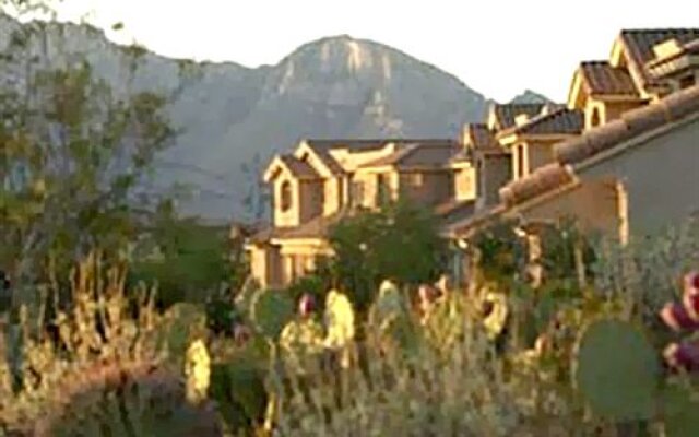 The Stay In Oro Valley