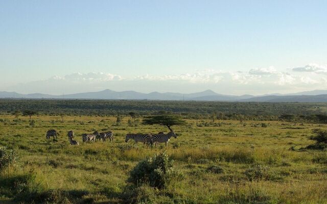 Malewa Wildlife Lodge