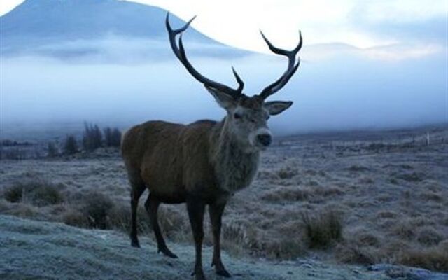 Loch Shiel