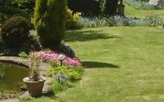 Lilac Tree Lodge B & B