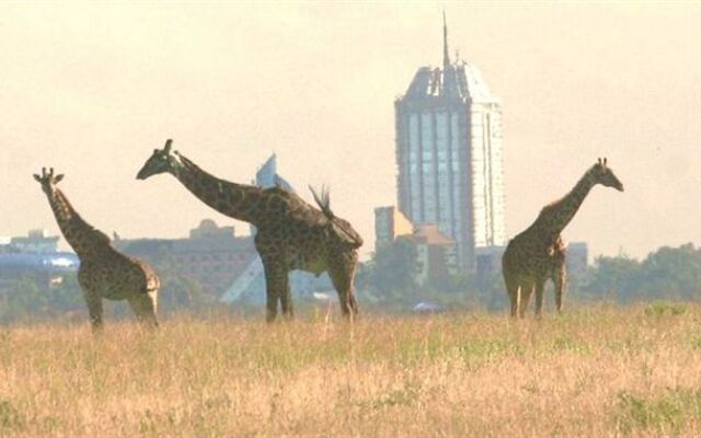 Nairobi Tented Camp