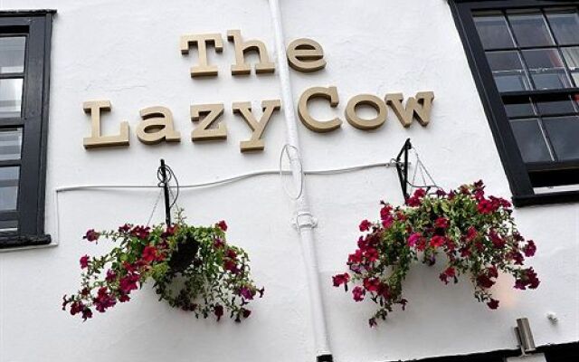 The Lazy Cow - Salisbury