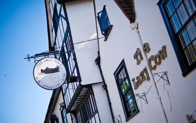 The Lazy Cow - Salisbury