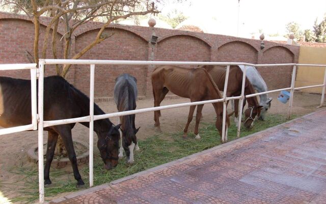 Gardenia Pyramids Hostel