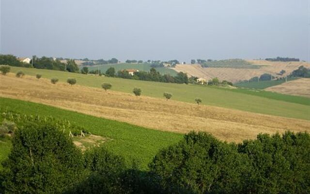 La Quercia del Saggio